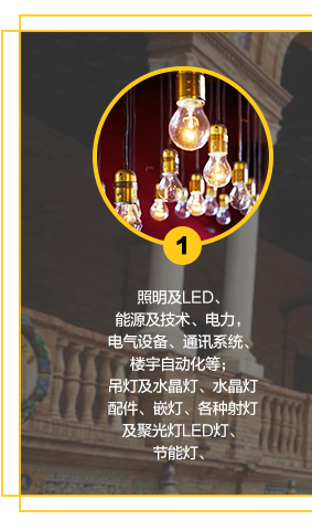 照明及LED、能源及技術、電力，電氣設備、通訊系統、樓宇自動化等；吊燈及水晶燈、水晶燈配件、嵌燈、各種射燈及聚光燈LED燈、節能燈、